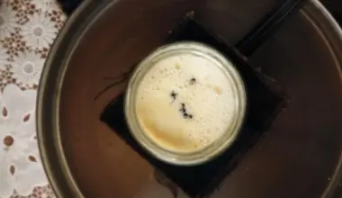 Would you eat yogurt made with ants? Scientists did