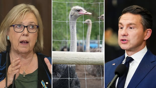 Poilievre chooses words carefully when asked about ostrich cull, May calls for re-testing