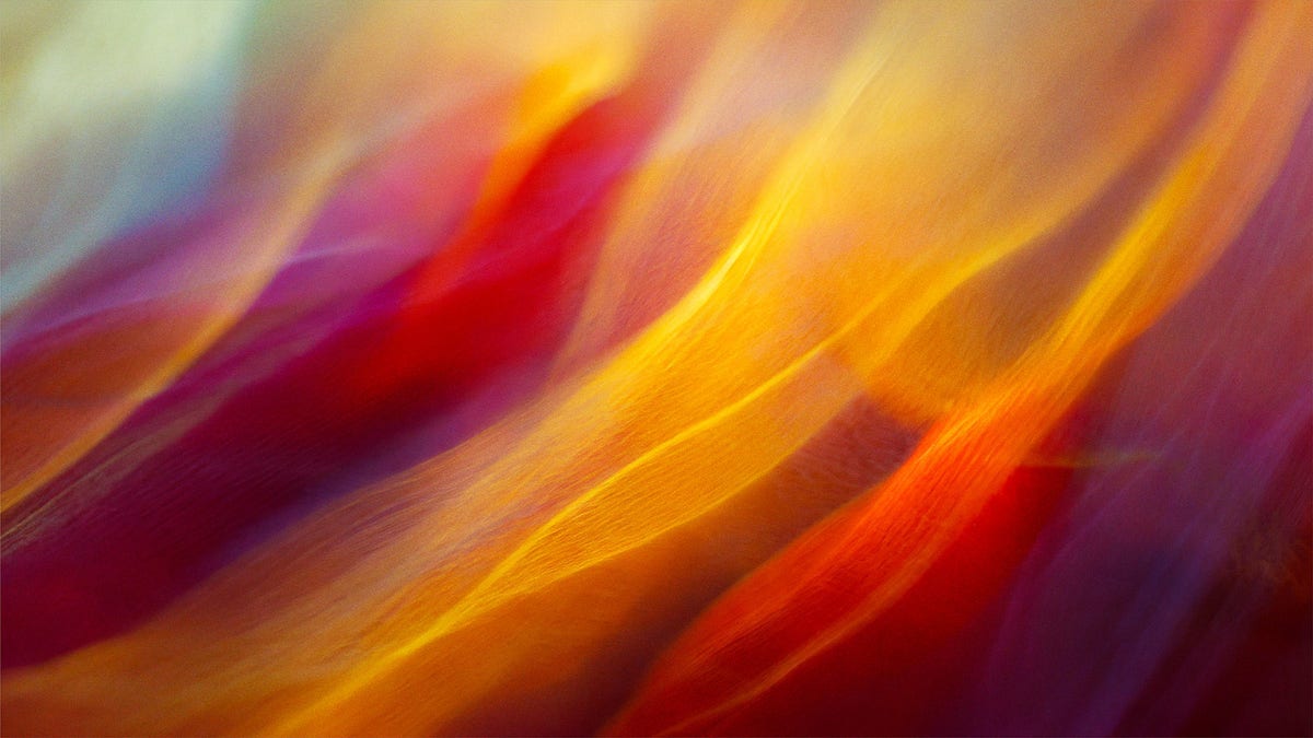 Adobe and Google Cloud Expand Strategic Partnership to Advance the Future of Creative AI