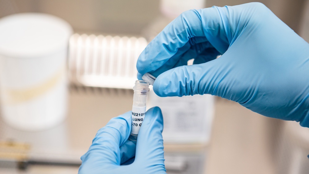 MERS-CoV virus isolate added to the WHO BioHub System, enabling further research and pandemic preparedness