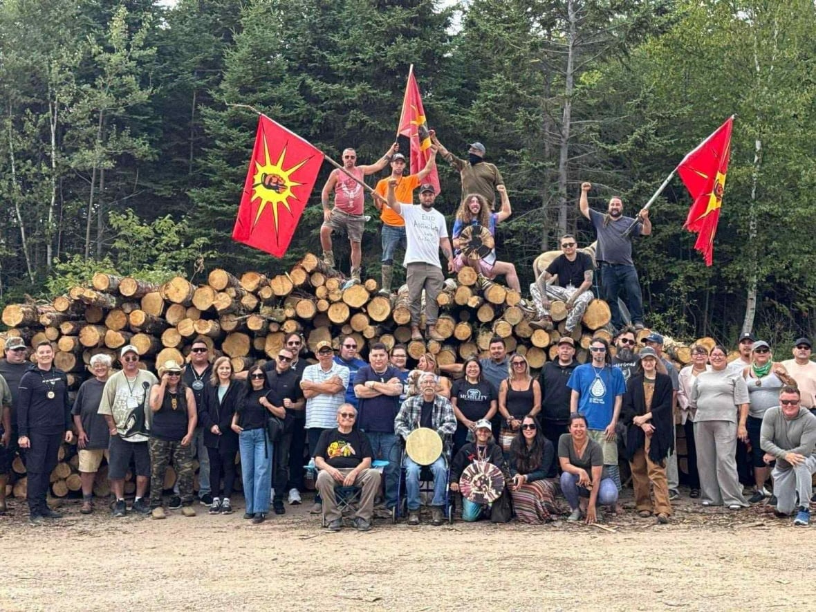 A group of people on a pile of logs with flags and drums