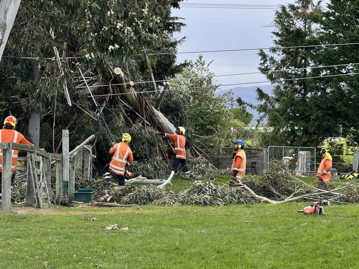 Power almost fully restored in Dunedin