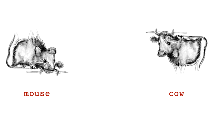 A black and white visual anagram of a mouse and a cow in gif form