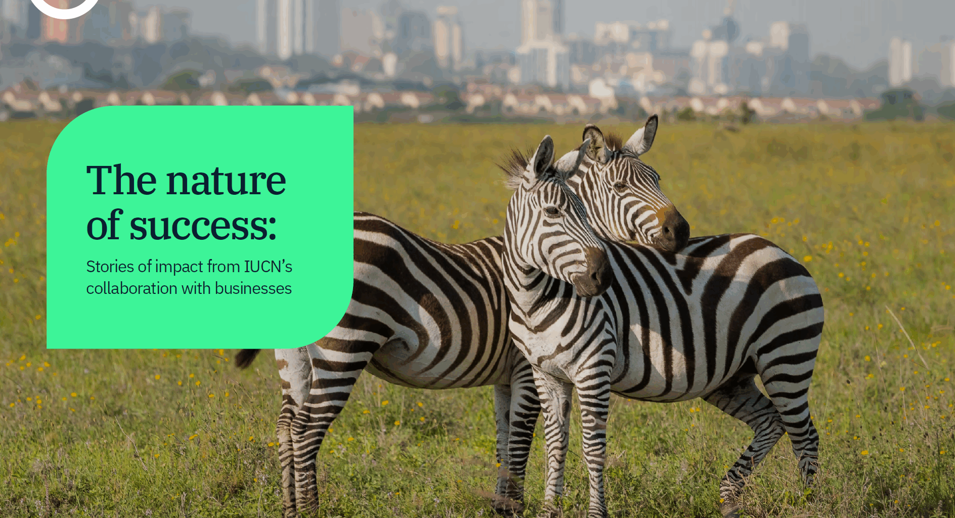 The nature of success: Stories of impact from IUCN’s collaboration with businesses - resource