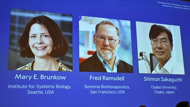 American, Japanese scientists win Nobel prize in medicine