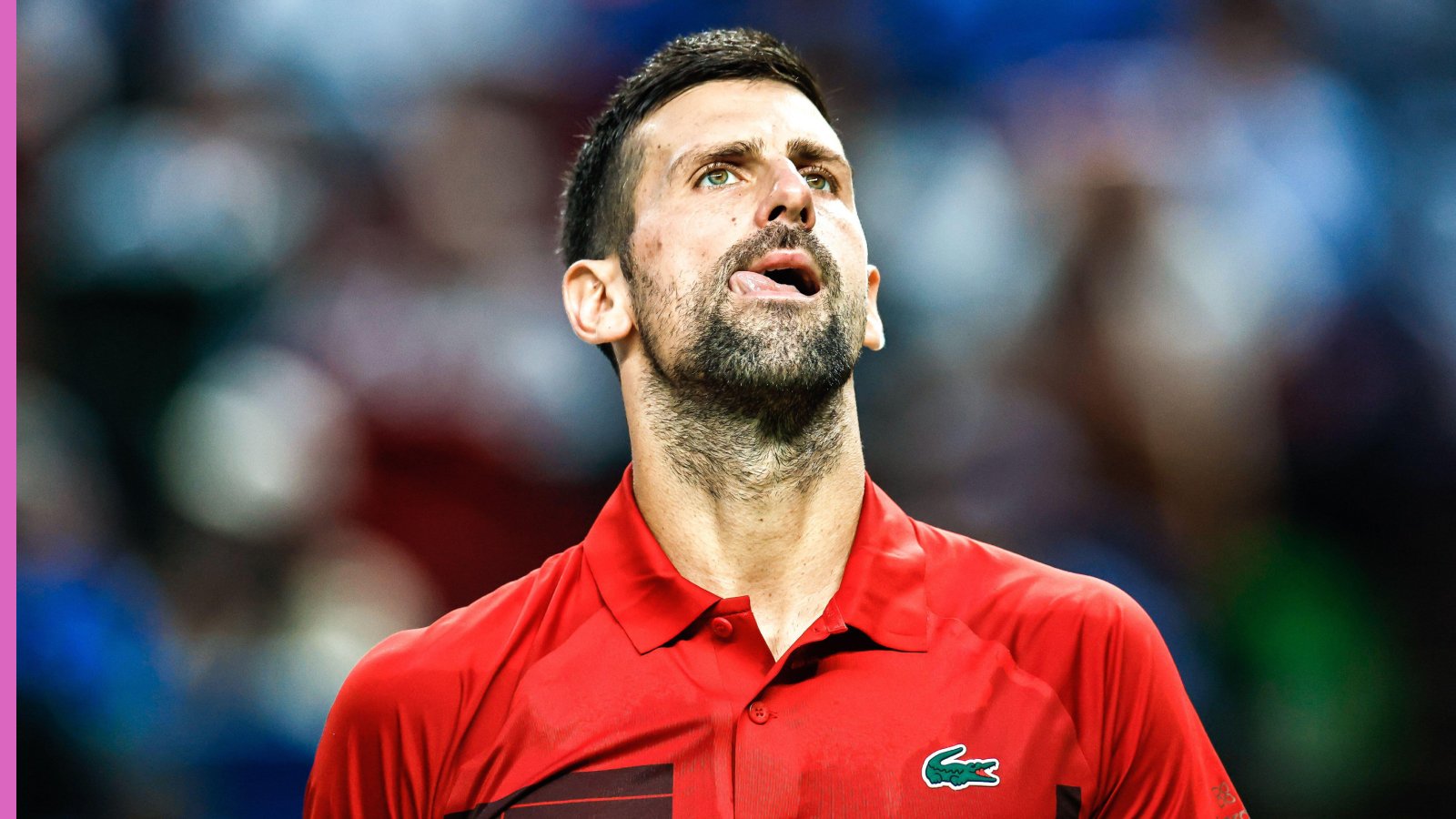 Novak Djokovic retirement - now he has been given the answer he was waiting for
