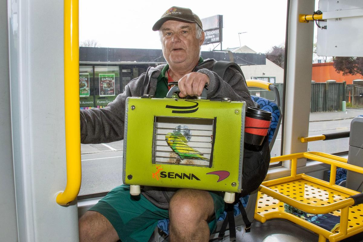 Winging it until pets allowed on buses