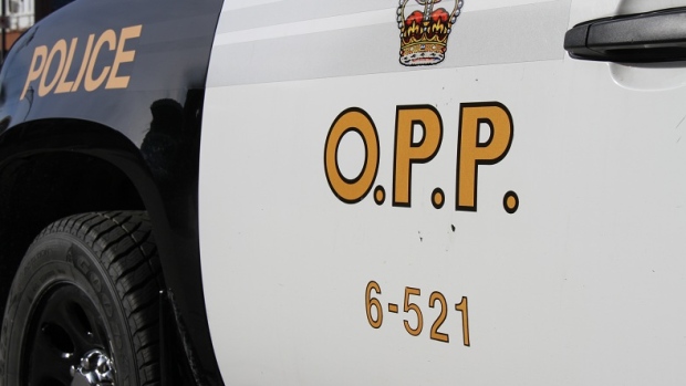 Human remains linked to Windsor homicide found in northern Ontario