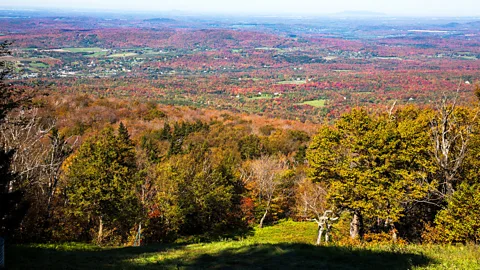 Alamy Quebec's bright sugar maples, like those in Parc d’environnement naturel de Sutton, offer an alternative to vivid foliage found in New England (Credit: Alamy)