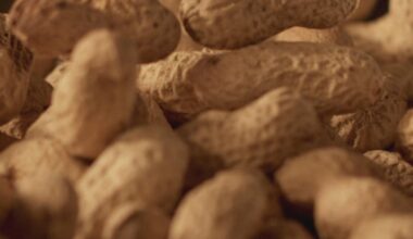 Some 60,000 kids have avoided peanut allergies due to landmark 2015 advice, study finds