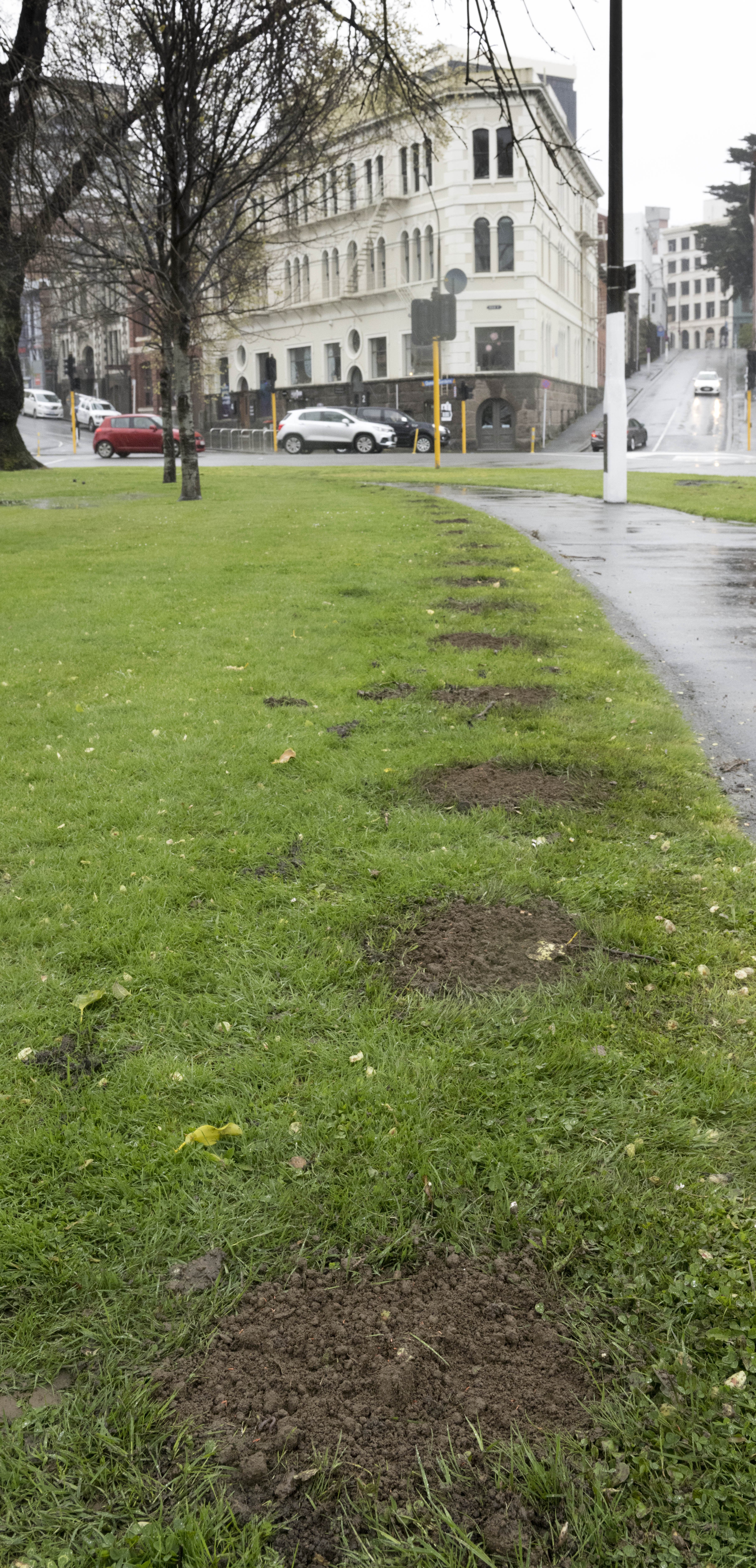 PHOTO: GERARD O’BRIEN / REPORT: RUBY SHAW