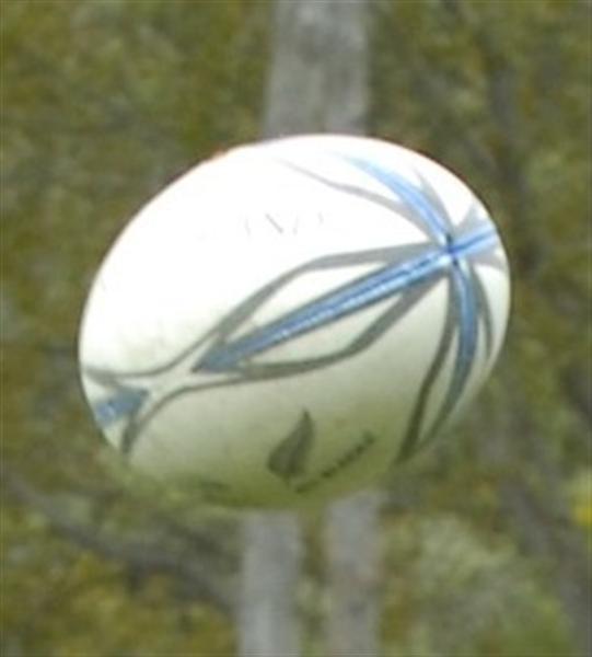 Otago thrash Auckland in record win