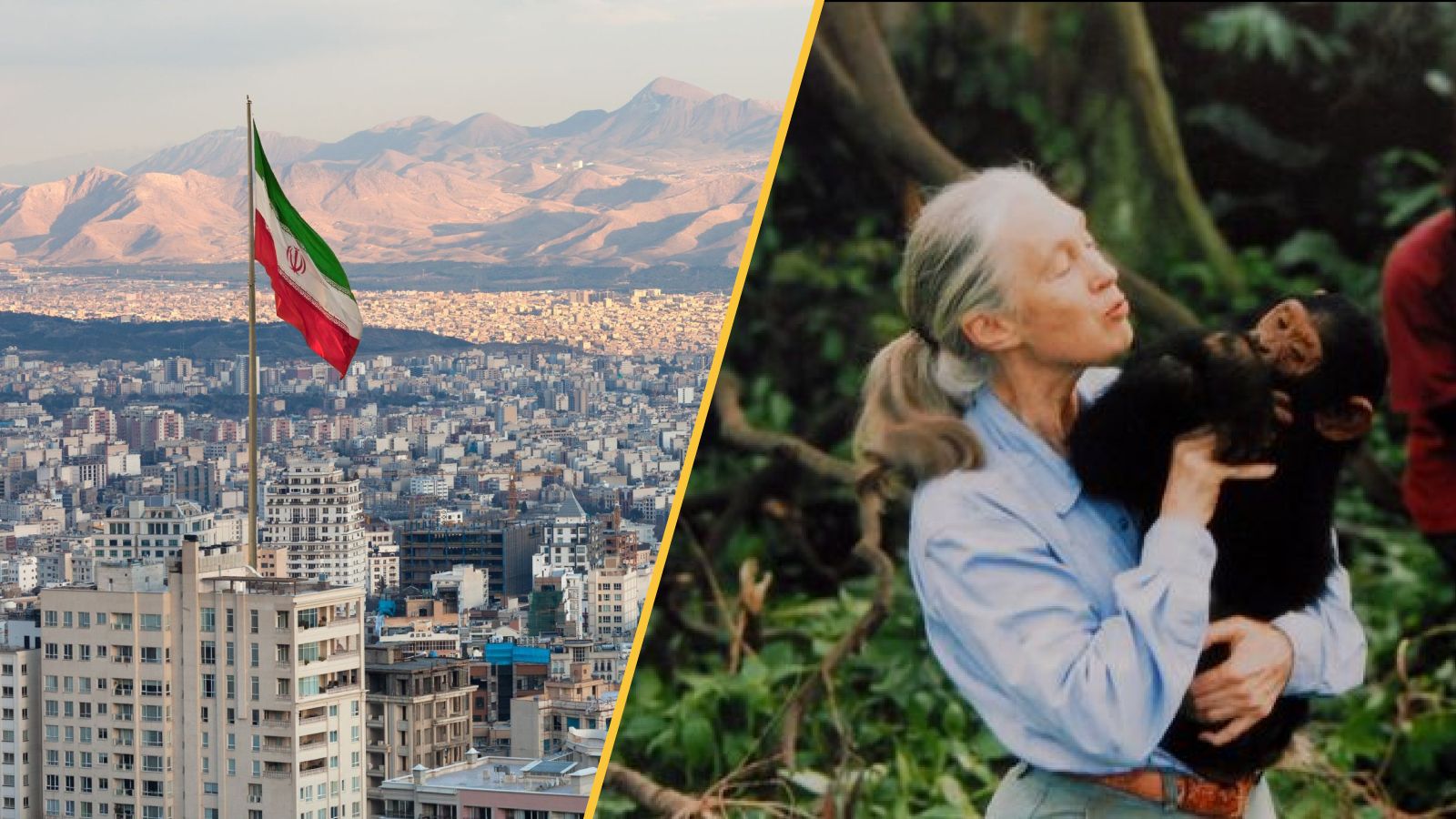 Tehran and Jane Goodall