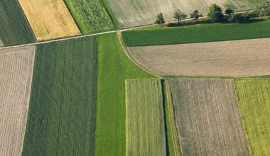 EU agriculture 2040: no easy fix for environmental and socio-economic aspects