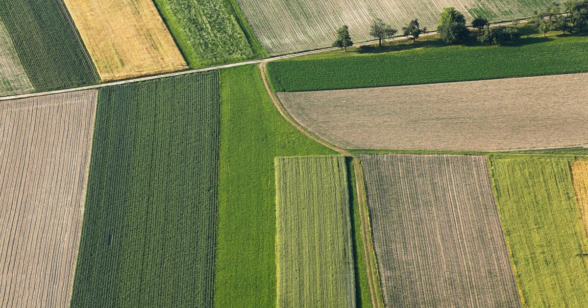 EU agriculture 2040: no easy fix for environmental and socio-economic aspects
