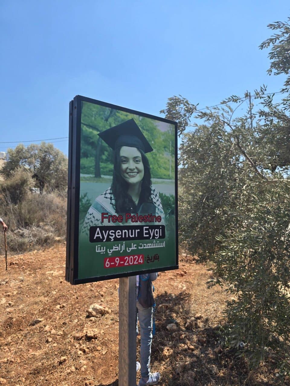 Quarterly-Aysenur-Image