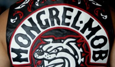 Mass gang brawl at Palmerston North hotel leads to arrests