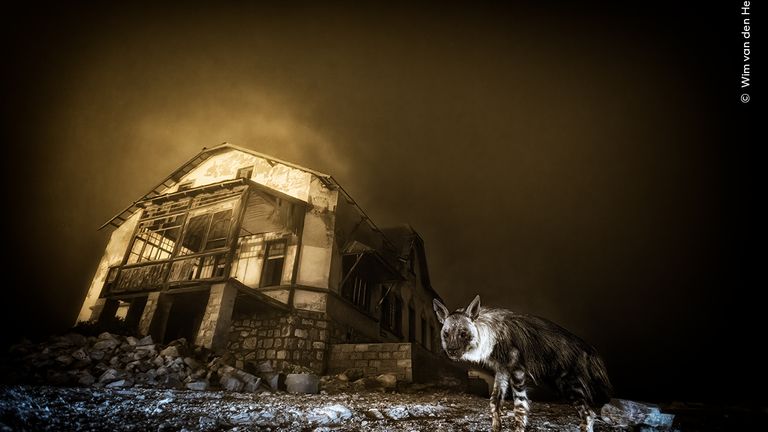 Pic: Wim van den Heeve/Wildlife Photographer of the Year