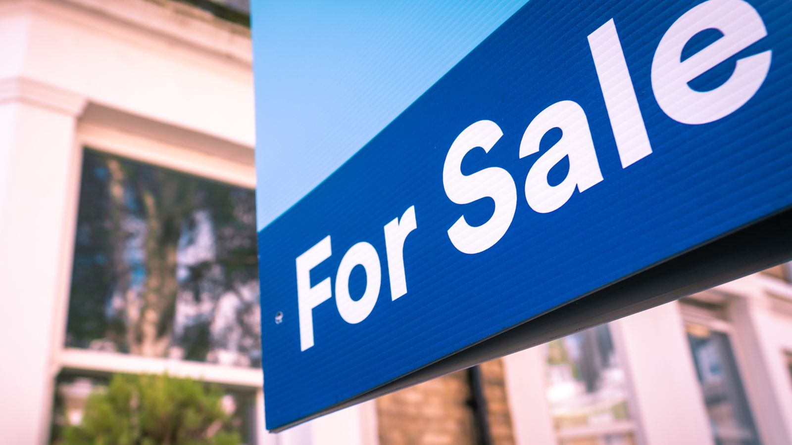 File pic: Shutterstock