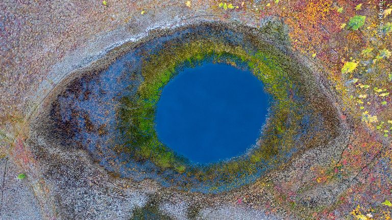 Pic: Alexey Kharitono/Wildlife Photographer of the Year