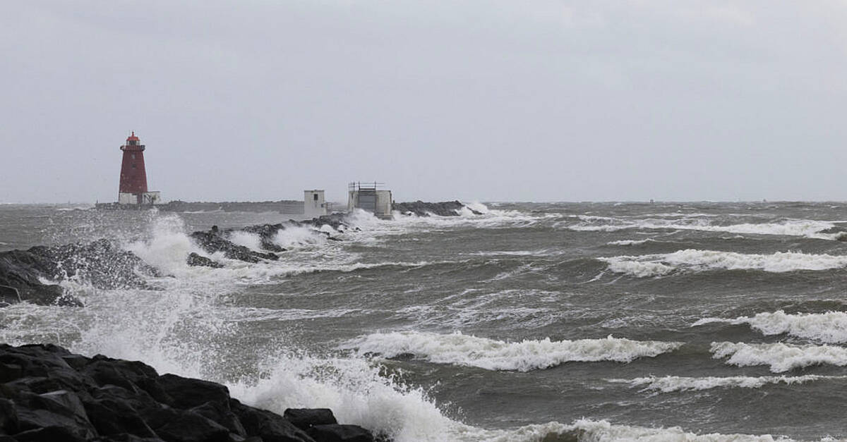 Met Éireann warn of power outages with gale force winds to hit over the weekend