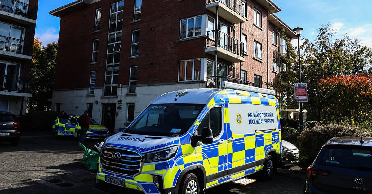 Teenager arrested over fatal stabbing of Ukrainian teenager in Dublin