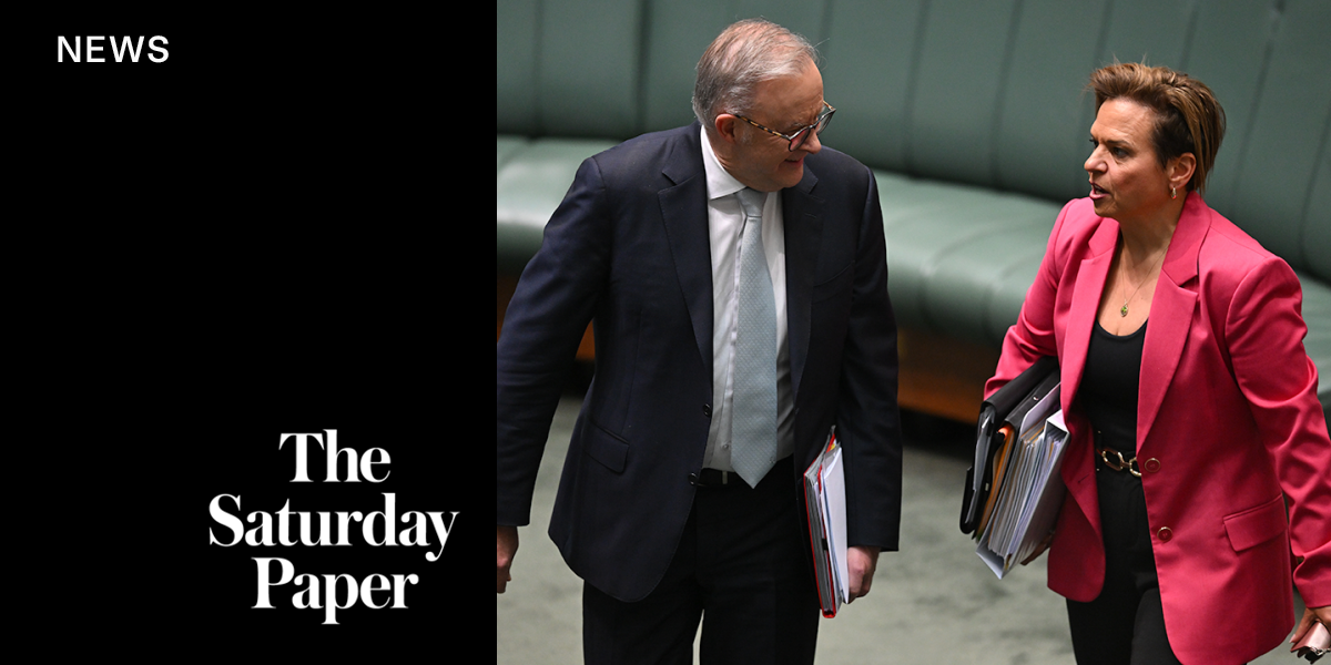 Inside Albanese’s FOI reforms: ‘He hates transparency’