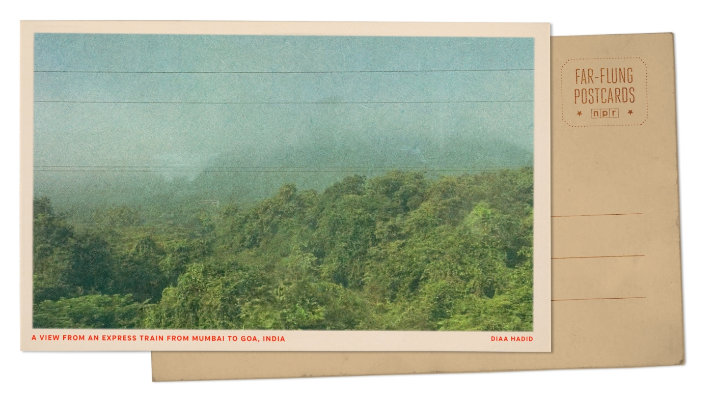 View out the window on a train from Mumbai to Goa : NPR