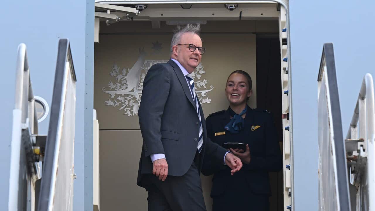 ANTHONY ALBANESE US VISIT