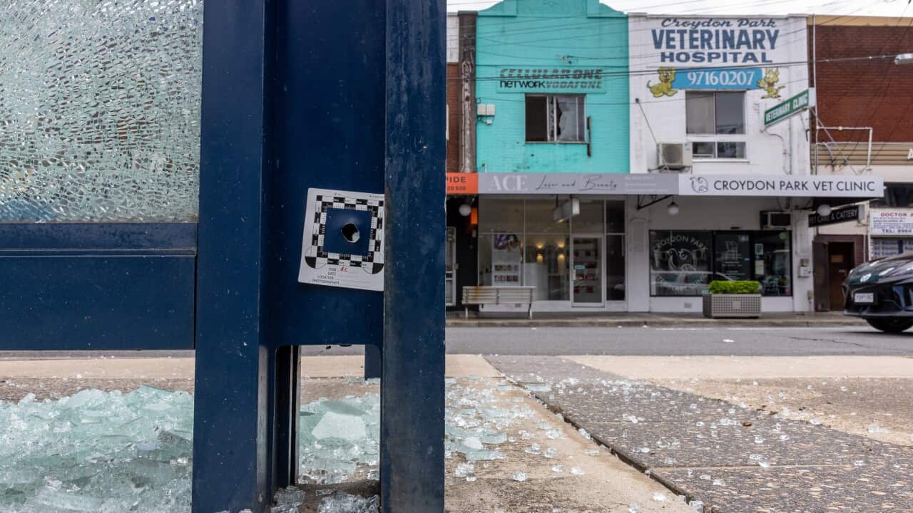 A bus shelter with broken glass beneath it and a bullet hole, on a street with multiple shops.