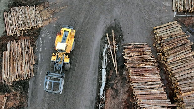 Trump imposes 10% tariff on lumber, 25% on cabinets and furniture in another blow to Canadian producers