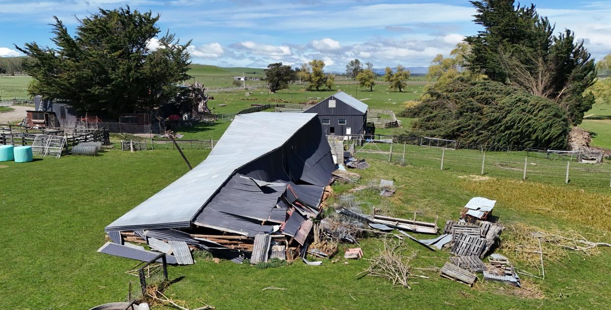 Farm looters ‘lowest of the low’