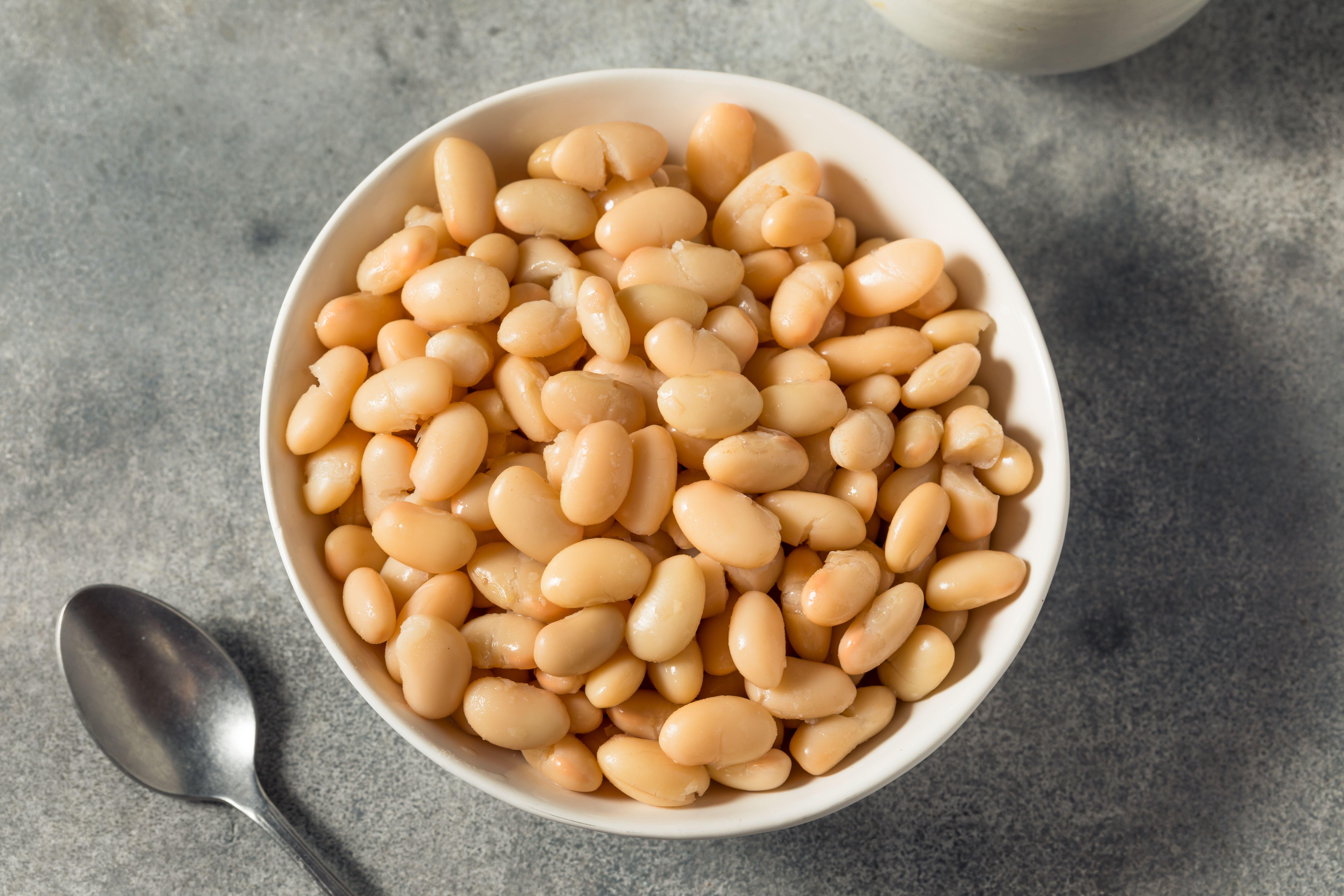 Bowl of cooked cannellini beans.