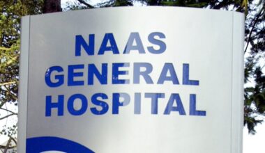 Man, 80s, dies following single-vehicle crash in Kildare