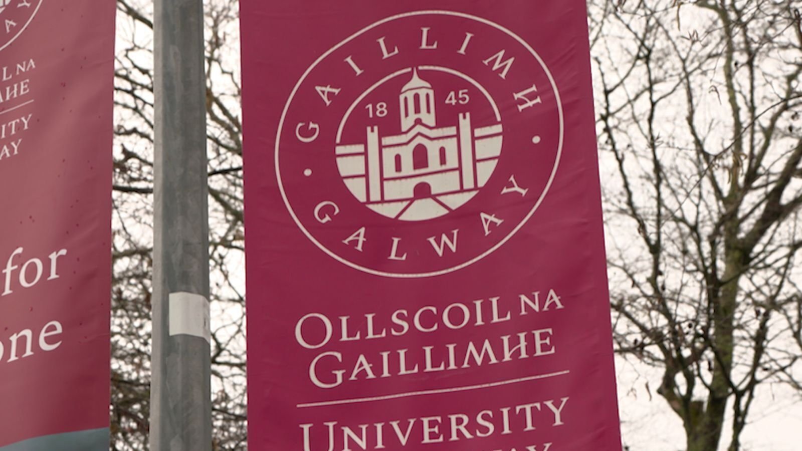 Third person refuses doctorate from University of Galway