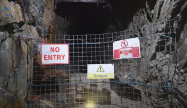 Delays to gold mine harming NI reputation