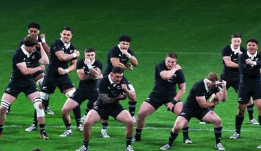 Ireland face All Blacks and SA in Nations Championship