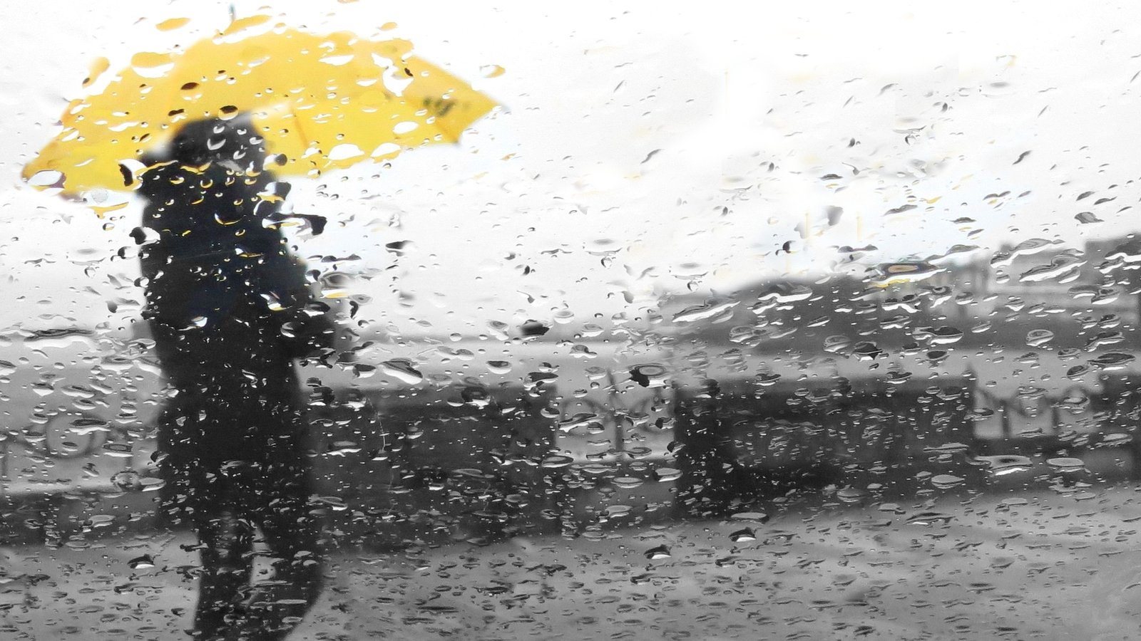 Flooding in Dublin, Wicklow and Wexford due to rain alert