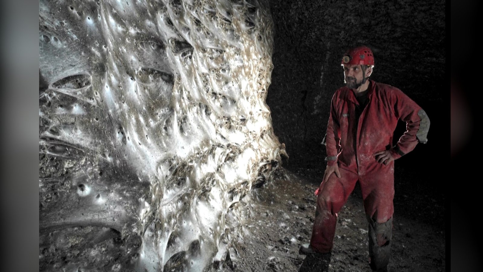 Web home to more than 110,000 spiders discovered