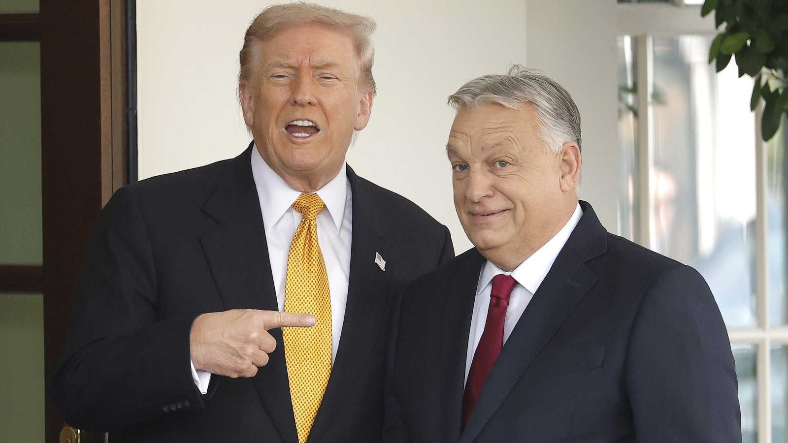 Trump urges EU to respect Orban, hails him on migration
