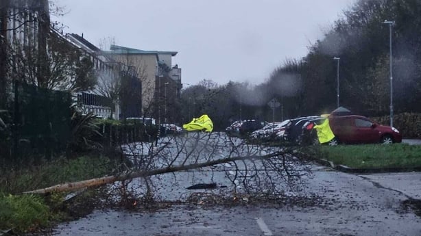 Tree down in Clongriffin, Dublin