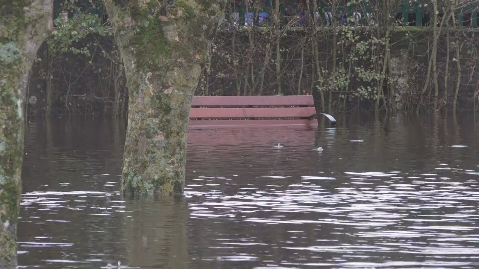 Wexford premises flooded as storm impacts power for 2,000
