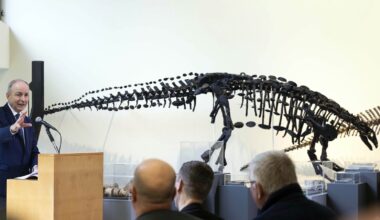 Exhibition showcasing dinosaurs of Ireland opens in Cork