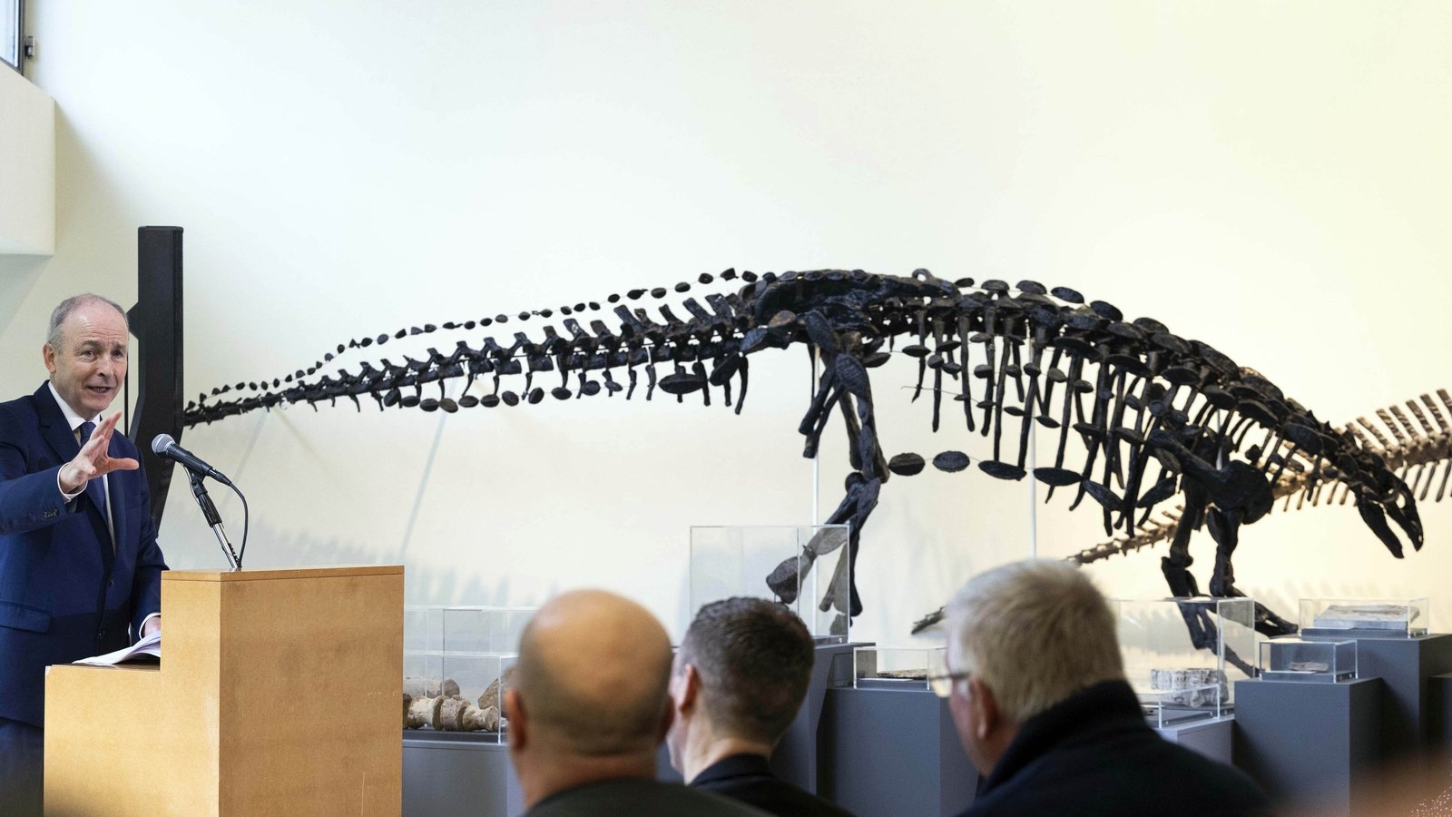 Exhibition showcasing dinosaurs of Ireland opens in Cork