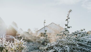 Temperatures set to drop as arctic airmass arrives