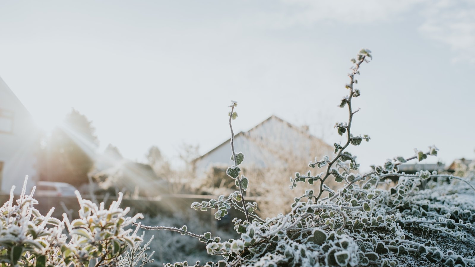 Temperatures set to drop as arctic airmass arrives