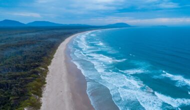 Shark kills one person, injures another in Australia