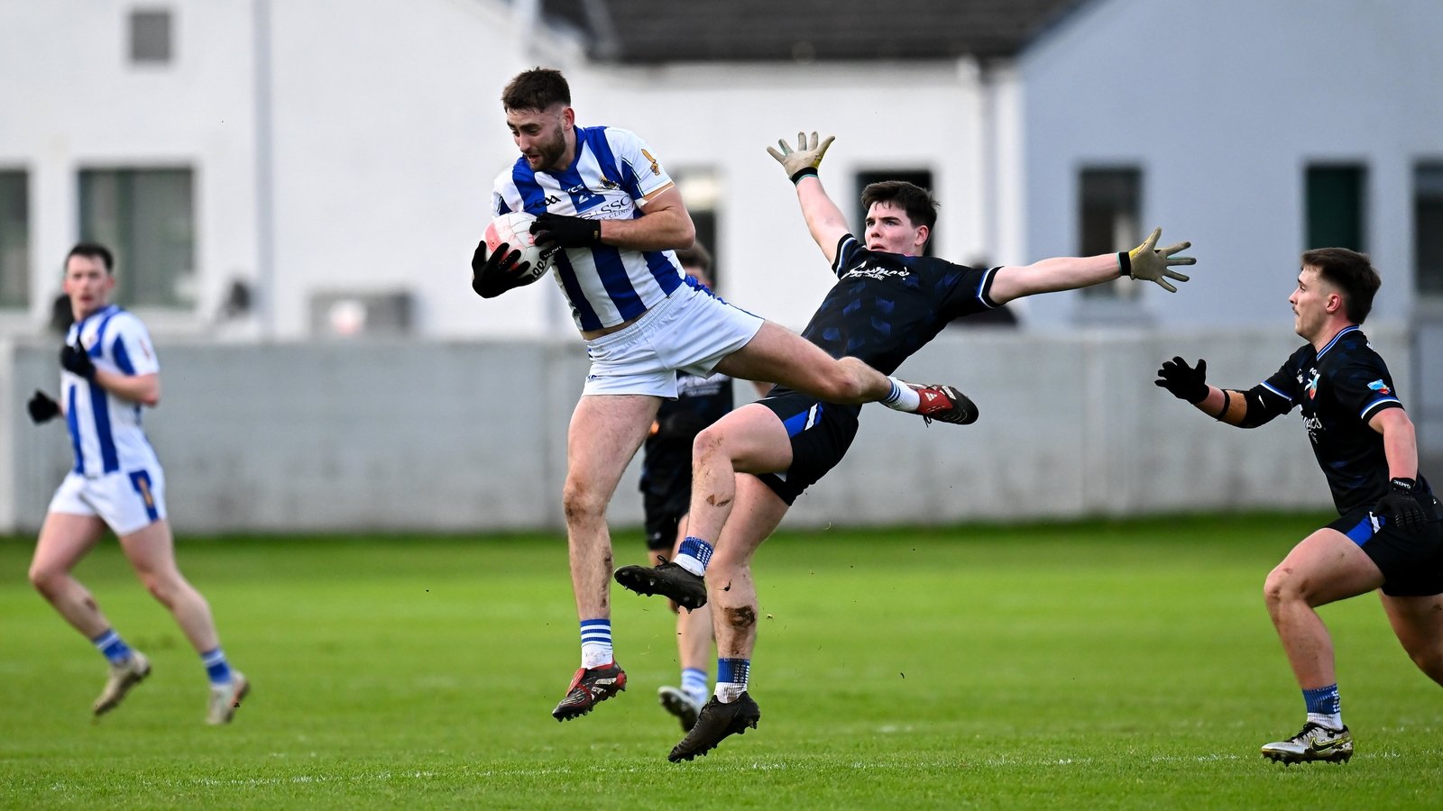 Dominant Ballyboden cruise to provinicial decider