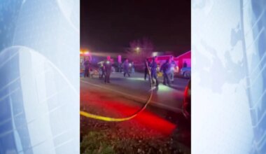 Four killed in shooting at child's party in California