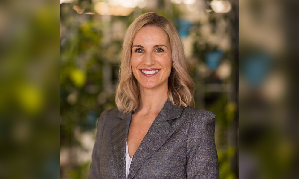 Sellers slash $72.5m from asking prices as confidence builds in housing market